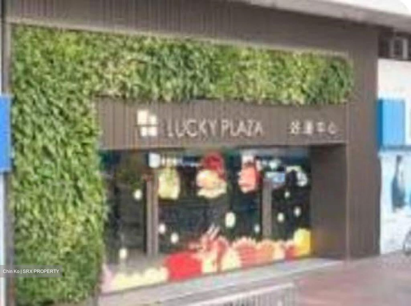 Lucky Plaza (D9), Shop House #572564121